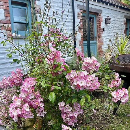 Neptunes Rest St Austell Luaran gambar
